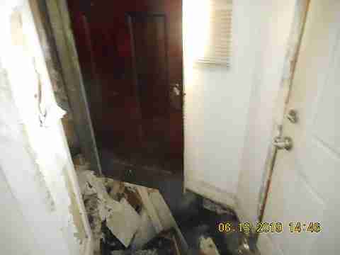 8266 Badger (27)_m.jpg